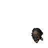 Black Sheep